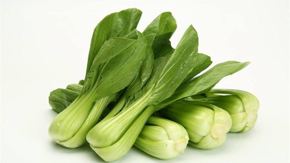 首宏蔬菜运输公司保障蔬菜生鲜的...