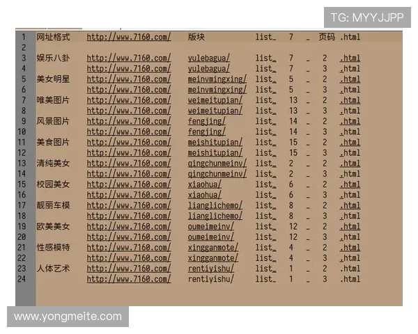 优化开云网址登录线路的实用技巧，确保每次登录都快速顺畅无延迟