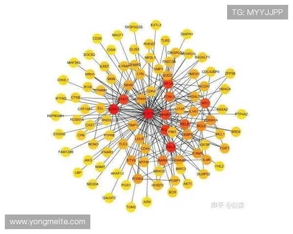 ky体育官网下载提供专业的体育数据分析，助你做出精准投注决策